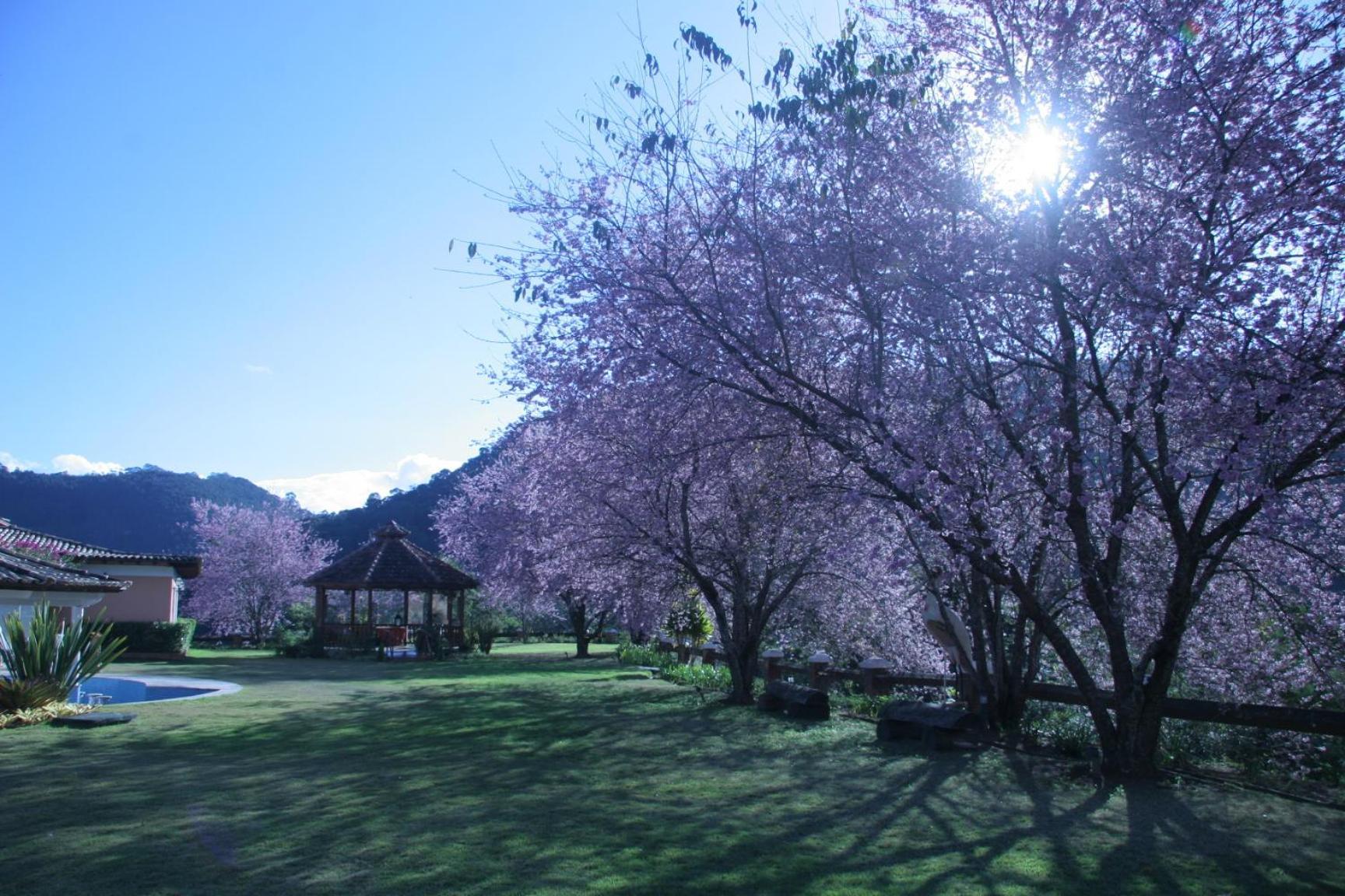 Quinta Da Paz Resort Itaipava Zewnętrze zdjęcie
